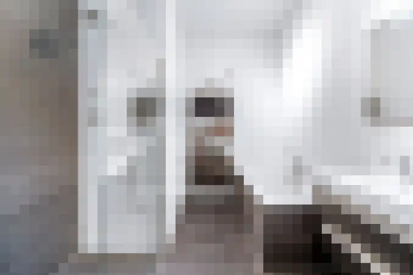 Eemlaan 29 Amersfoort thumbnail 22