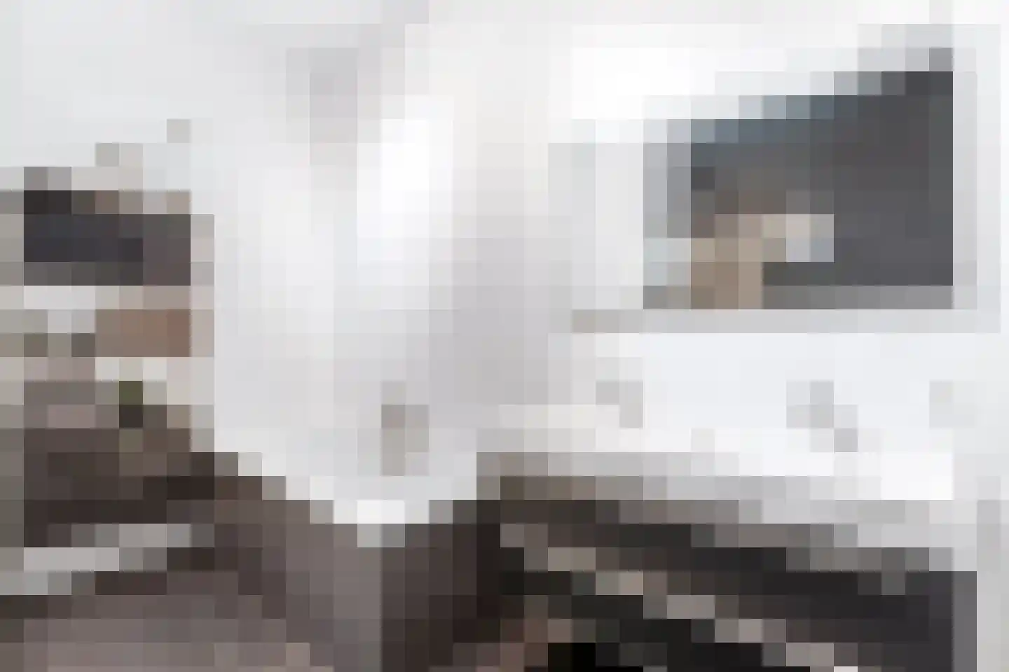Eemlaan 29 Amersfoort thumbnail 23