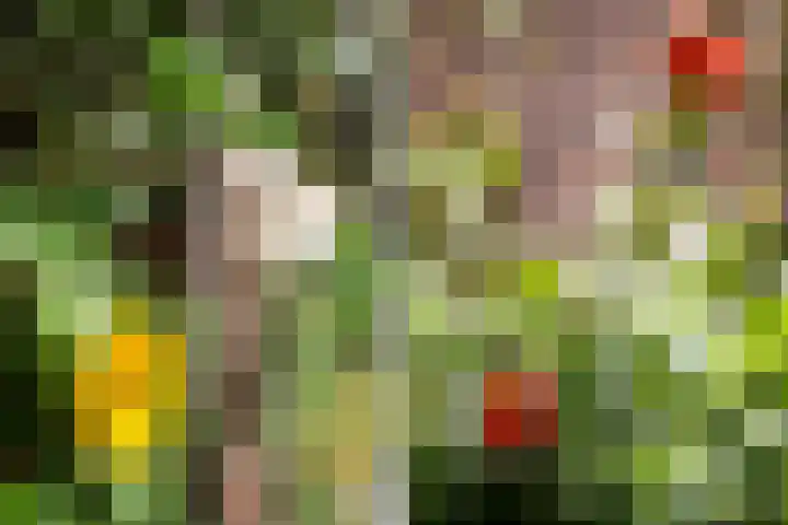 Eemlaan 36 Zwolle thumbnail 24