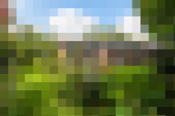 Eemlaan 36 Zwolle thumbnail 25