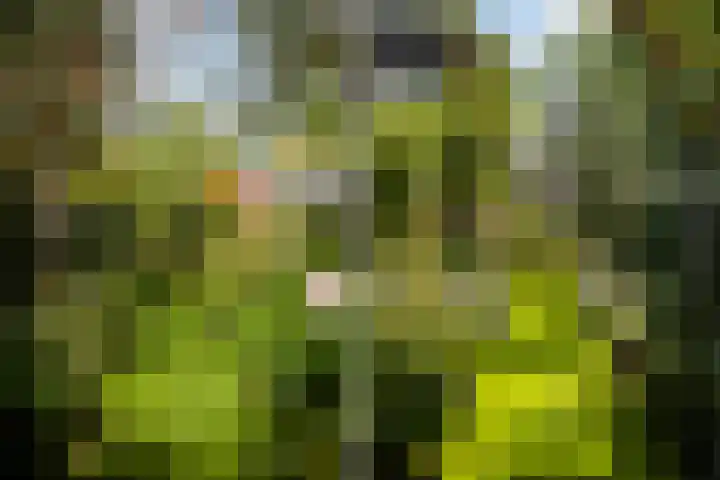 Eemlaan 36 Zwolle thumbnail 26