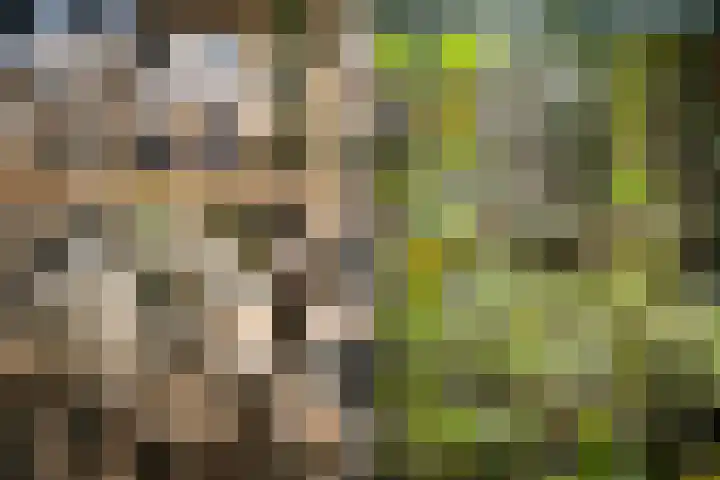 Eemlaan 36 Zwolle thumbnail 27