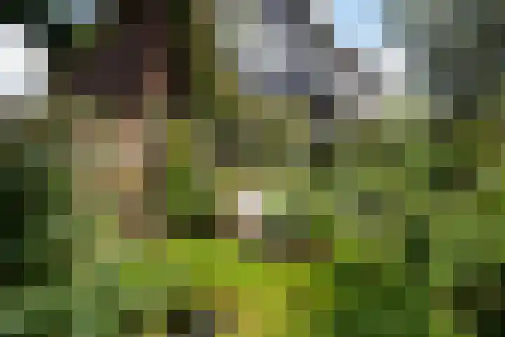 Eemlaan 36 Zwolle thumbnail 28