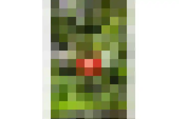 Eemlaan 36 Zwolle thumbnail 31
