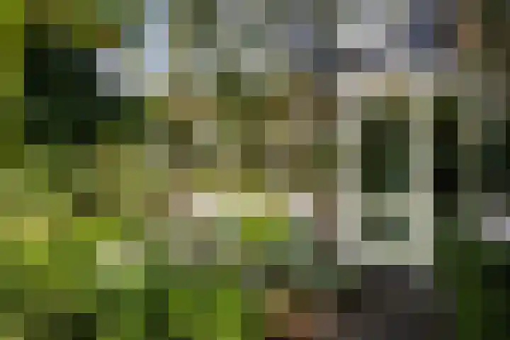 Eemlaan 36 Zwolle thumbnail 4
