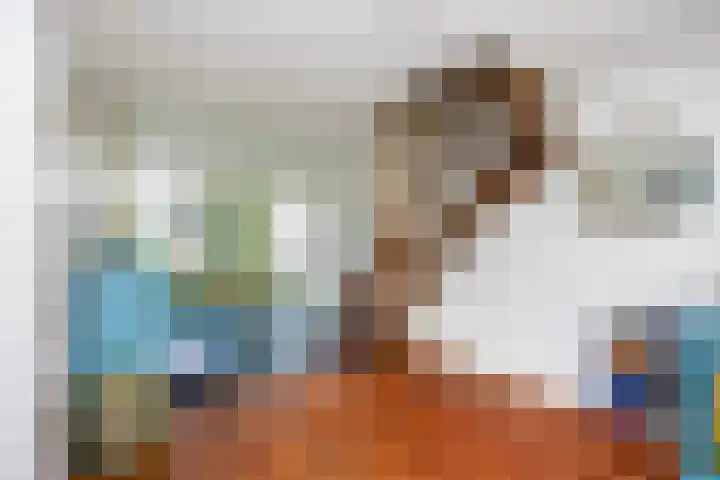 Eemlaan 36 Zwolle thumbnail 8