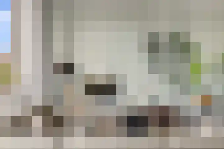 Eemlaan 9 Amersfoort thumbnail 11