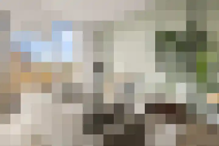 Eemlaan 9 Amersfoort thumbnail 16