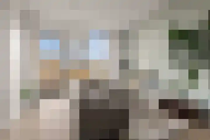 Eemlaan 9 Amersfoort thumbnail 17