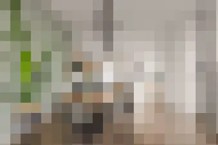 Eemlaan 9 Amersfoort thumbnail 19