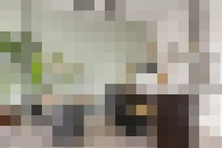 Eemlaan 9 Amersfoort thumbnail 21