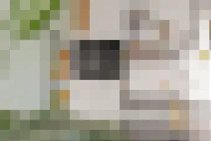 Eemlaan 9 Amersfoort thumbnail 28