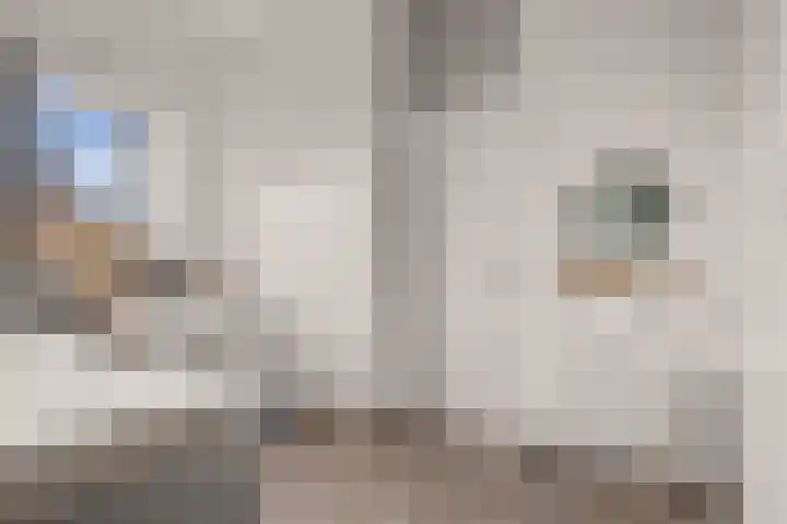 Eemlaan 9 Amersfoort thumbnail 37