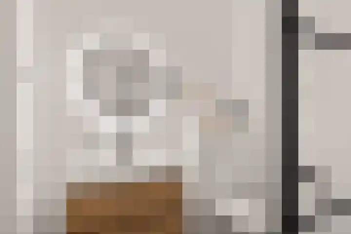 Eemlaan 9 Amersfoort thumbnail 38