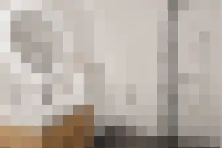 Eemlaan 9 Amersfoort thumbnail 4