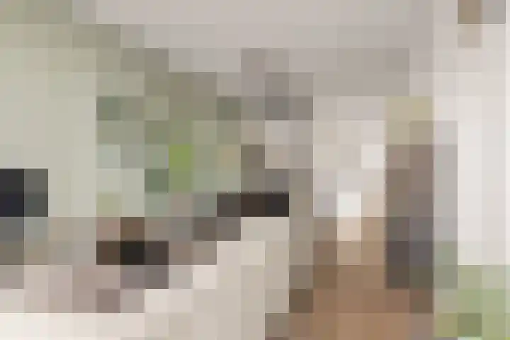 Eemlaan 9 Amersfoort thumbnail 9