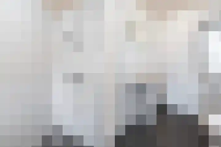 Eemland 16 Dronten thumbnail 13