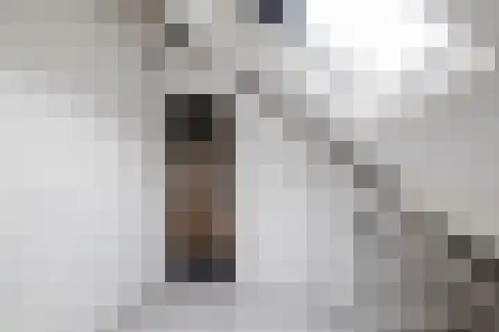 Eemland 16 Dronten thumbnail 14