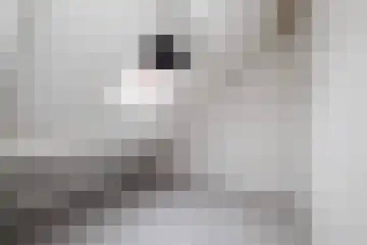 Eemland 16 Dronten thumbnail 15