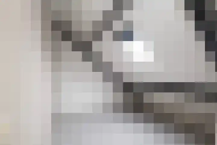 Eemland 16 Dronten thumbnail 17