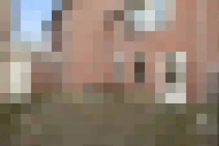 Eemland 16 Dronten thumbnail 20