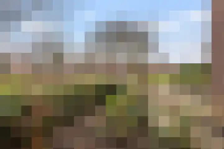 Eemland 16 Dronten thumbnail 24