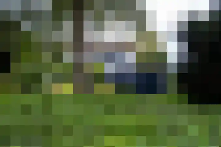 Eemland 20 Assen thumbnail 16