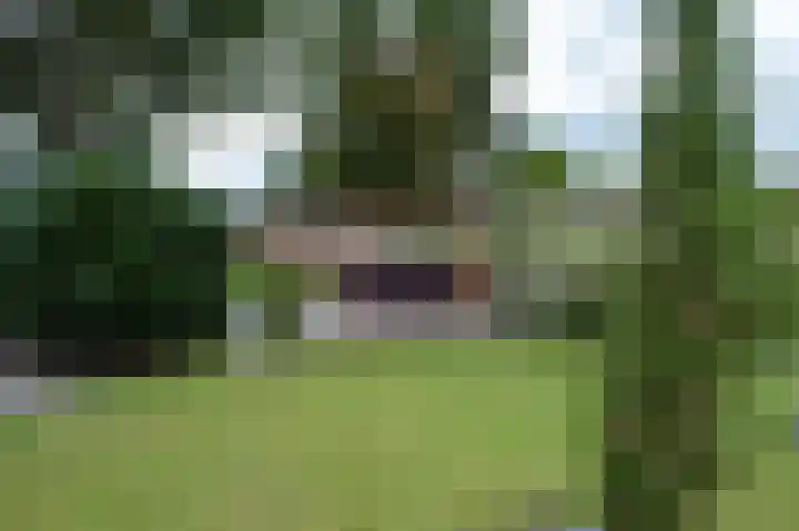 Eemland 20 Assen thumbnail 58