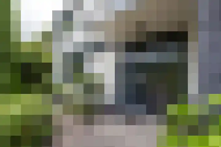 Eemland 20 Assen thumbnail 8