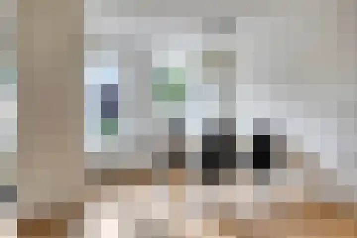 Eemland 4 Dronten thumbnail 12