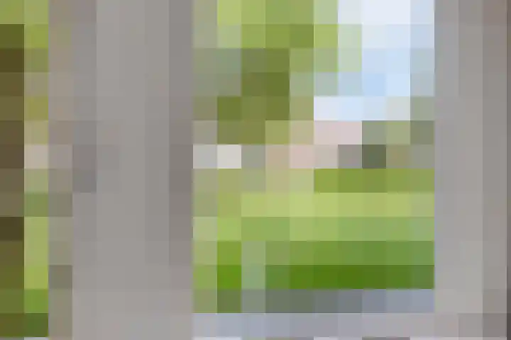 Eemland 4 Dronten thumbnail 14