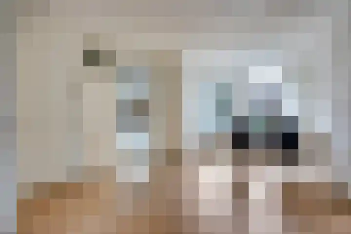 Eemland 4 Dronten foto 2