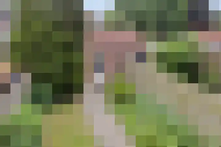 Eemland 4 Dronten thumbnail 27