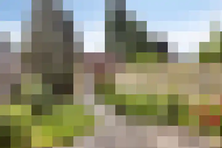 Eemland 4 Dronten thumbnail 28