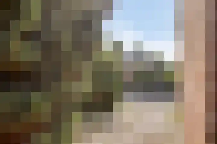 Eemland 4 Dronten thumbnail 29