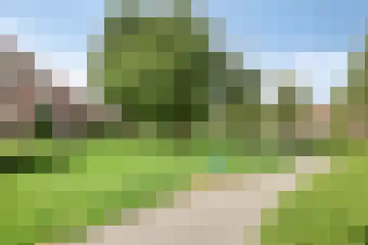 Eemland 4 Dronten thumbnail 31