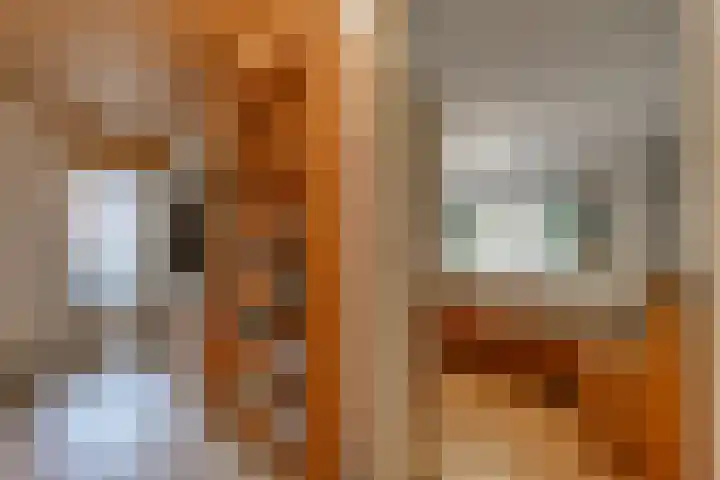 Eemland 4 Dronten thumbnail 36