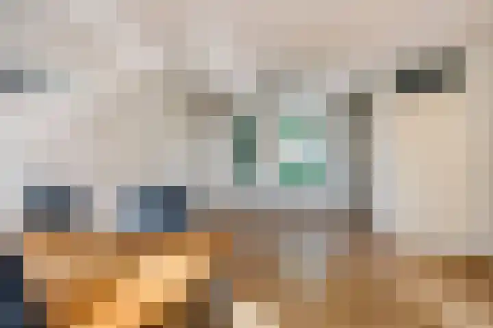 Eemland 4 Dronten thumbnail 9