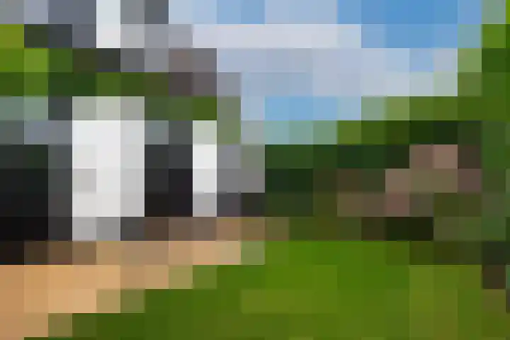 Eemnesserweg 41 Baarn thumbnail 16
