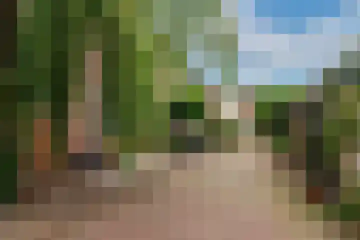 Eemnesserweg 41 Baarn thumbnail 33