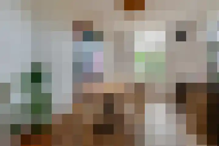 Eemnesserweg 41 Baarn thumbnail 8