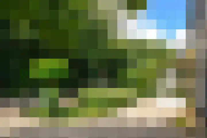 Eemnesserweg 82 Baarn thumbnail 17