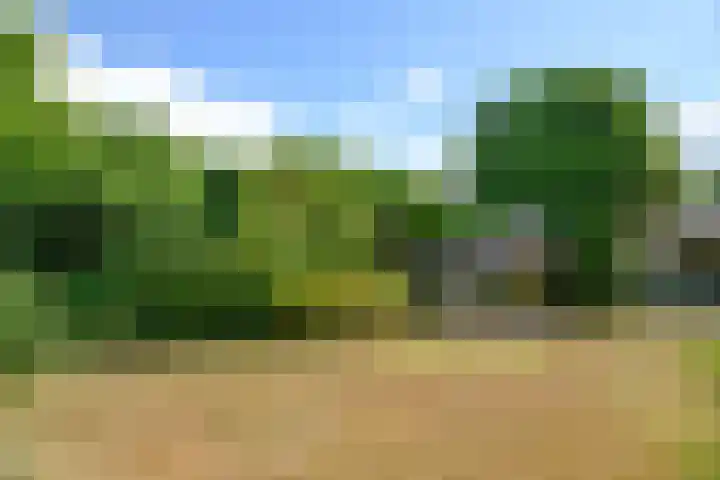 Eemnesserweg 82 Baarn thumbnail 31