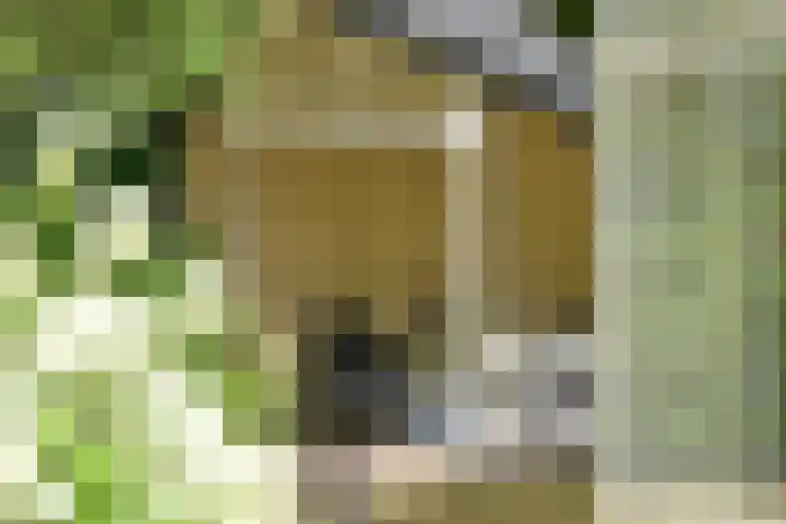 Eemnesserweg 82 Baarn thumbnail 41