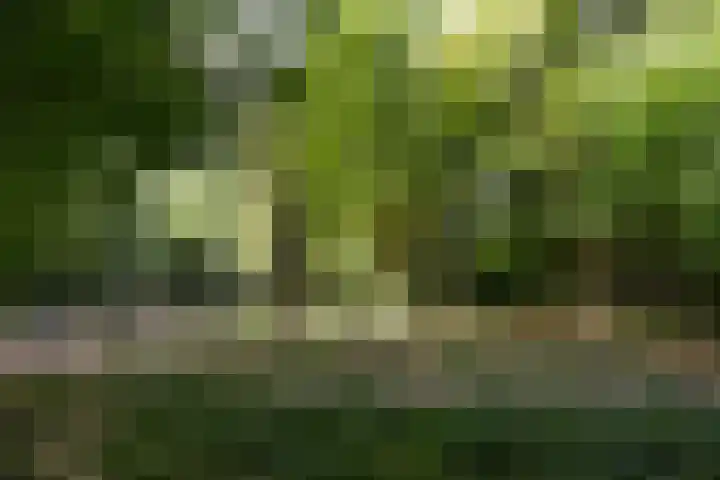 Eemnesserweg 82 Baarn thumbnail 42