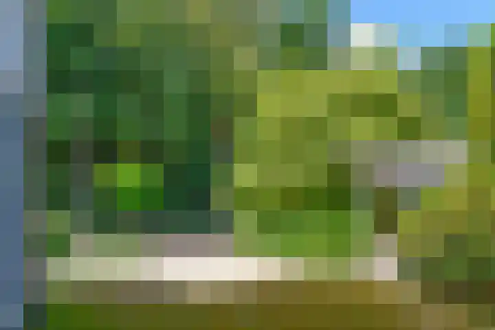 Eemnesserweg 82 Baarn thumbnail 5