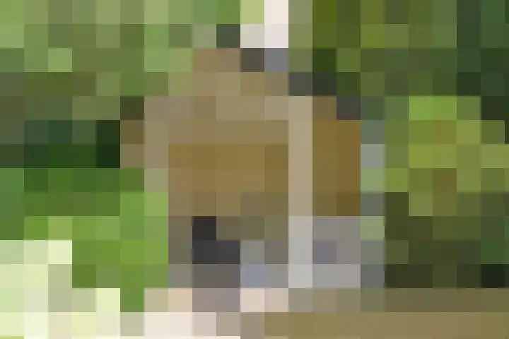 Eemnesserweg 82 Baarn thumbnail 6