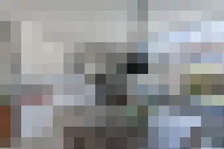 Eems 35 Drachten thumbnail 18