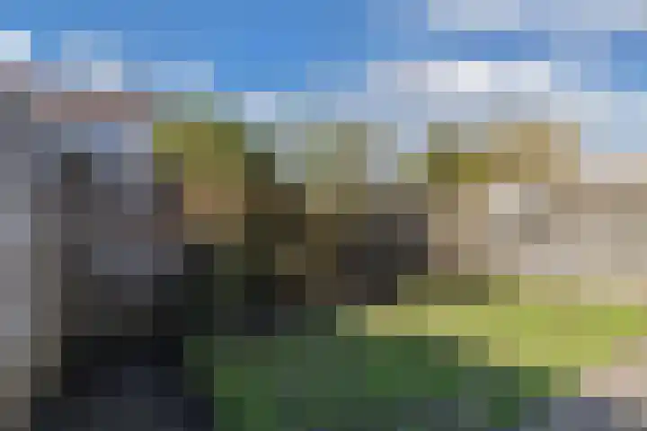Eems 35 Drachten thumbnail 42