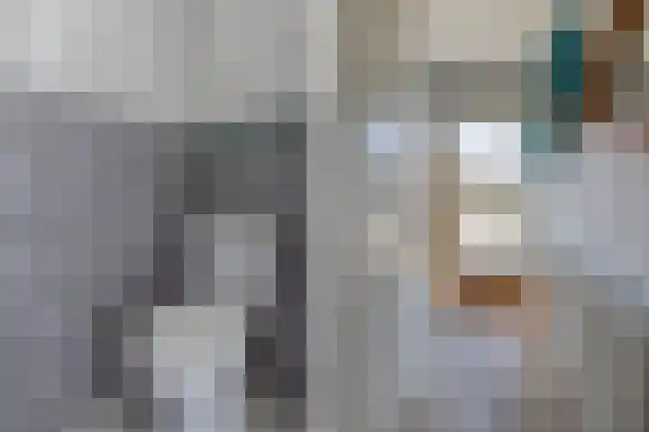 Eems 35 Drachten thumbnail 8